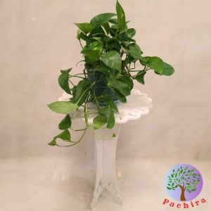 میز خاطره گرد ۷۰ سانتی pvc