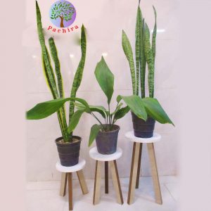 پایه گلدان چوبی سه پایه