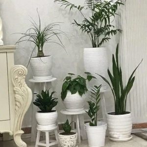پایه گلدان ست سه عددی - تصویر 2