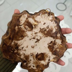 گل دیوارکوب مجموعه 3 عددی - تصویر 3